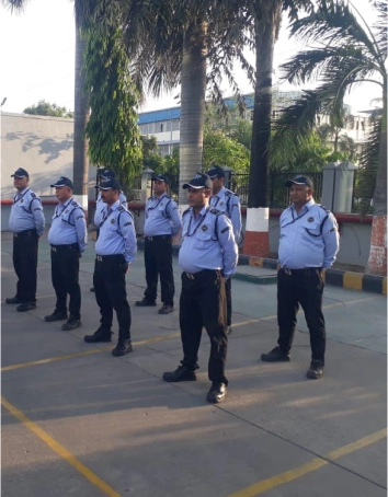 Private security force